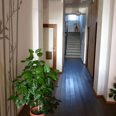 艺术酒店 皮塞克